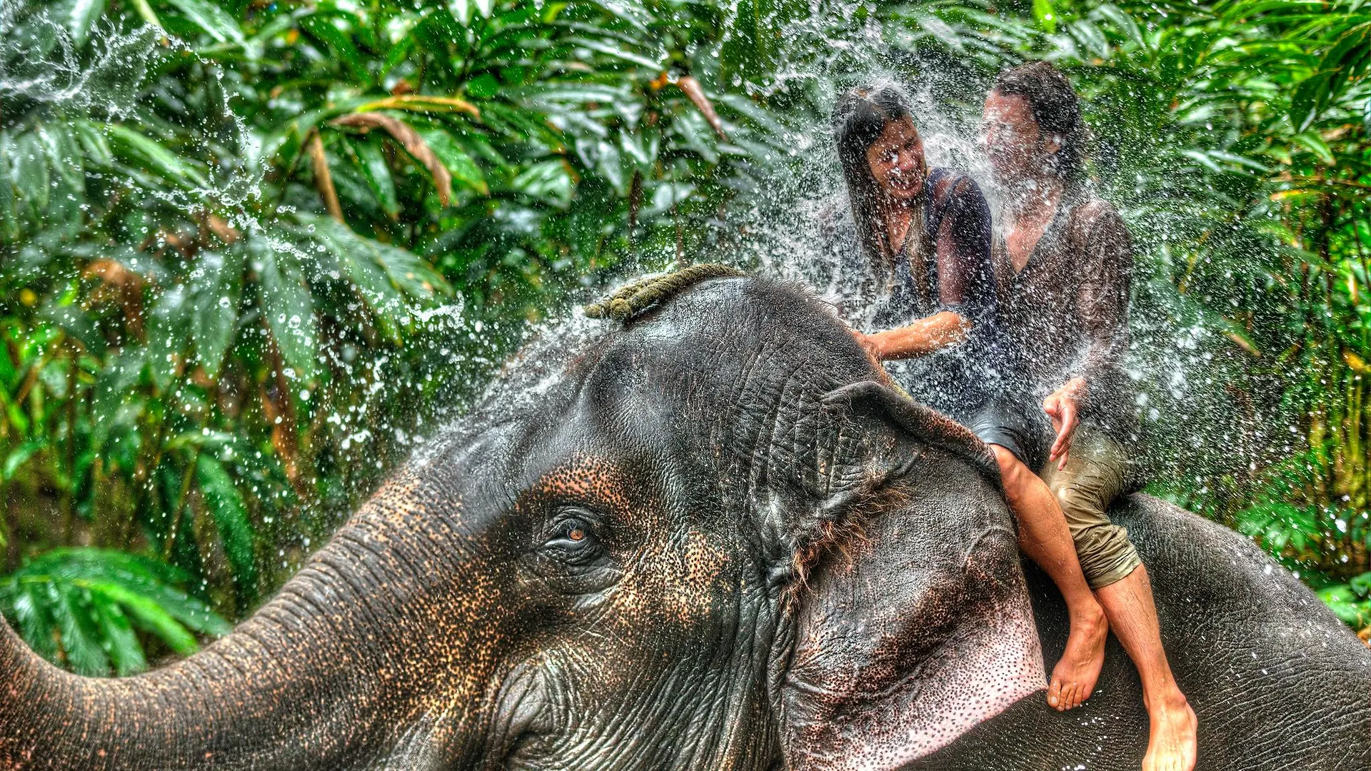 Spice Village Thekkady - A Cgh Earth Experience